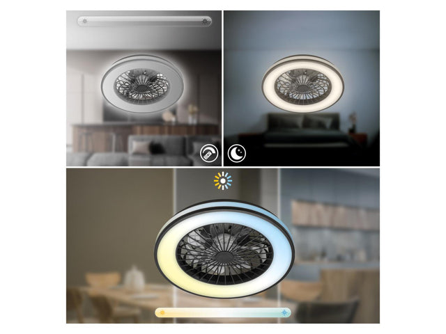 Ventilateur de plafond LED