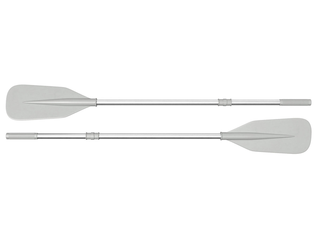 Bateau pneumatique