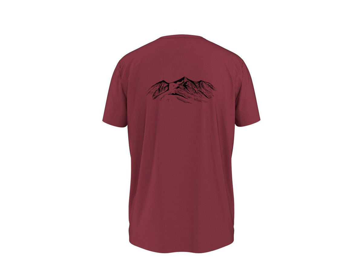 Lot de 2 t-shirts techniques homme