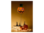 Décoration de jardin d'Halloween