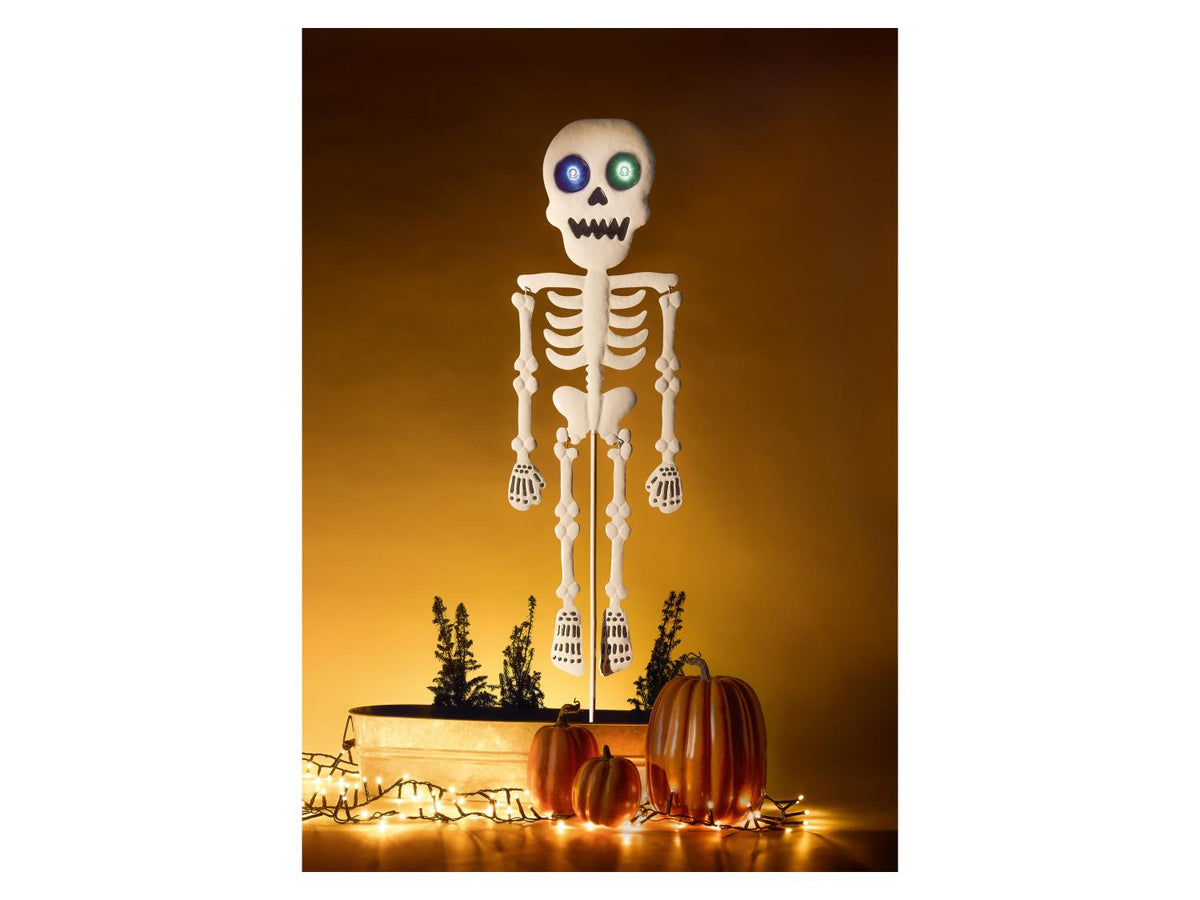 Décoration de jardin d'Halloween
