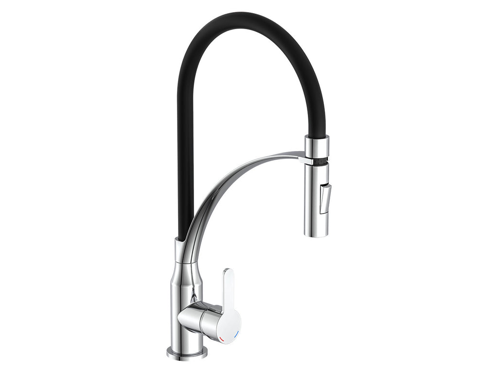 Robinet d'évier cuisine avec douche à vaisselle et tuyau interchangeable