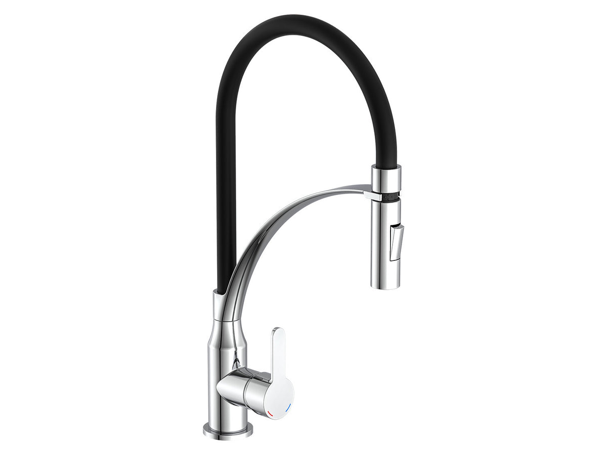 Robinet d'évier cuisine avec douche à vaisselle et tuyau interchangeable