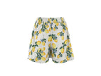 Shorts Femme