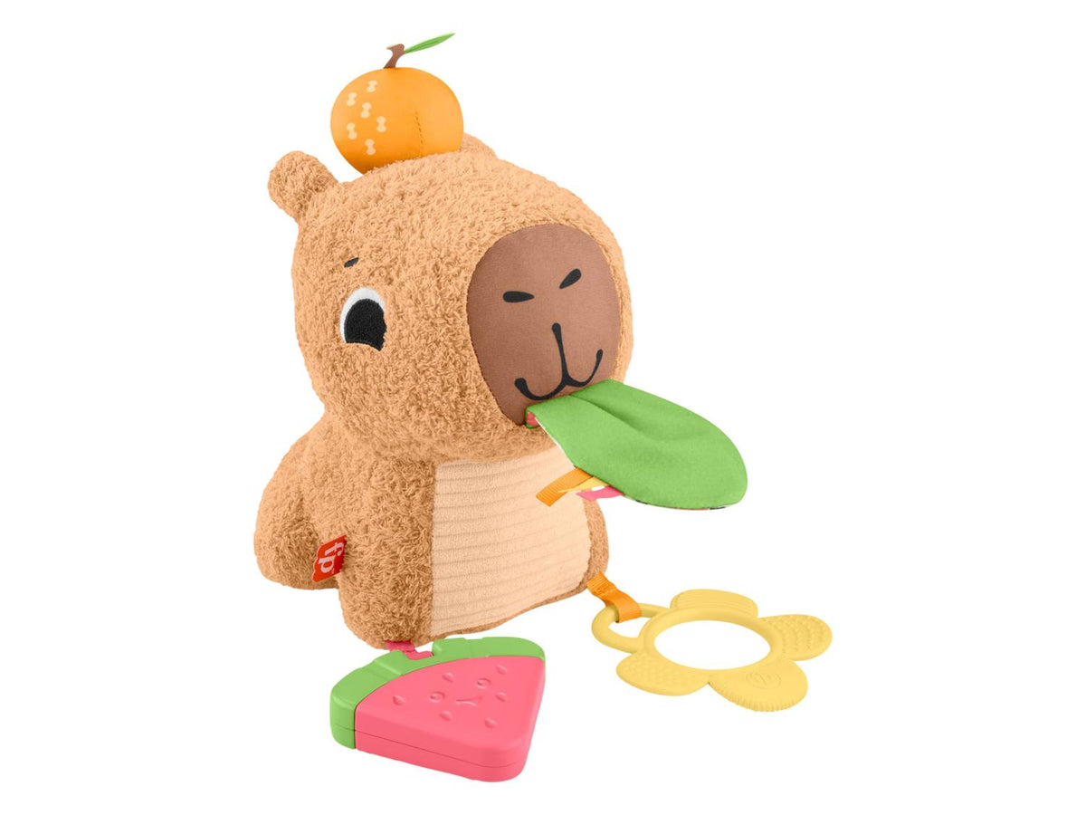Xylophone, Capybara peluche