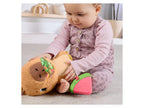 Xylophone, Capybara peluche