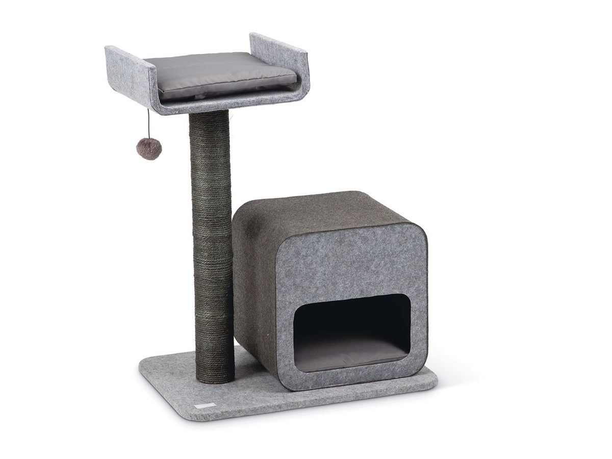 Arbre à chat, gris