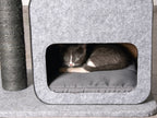 Arbre à chat, gris