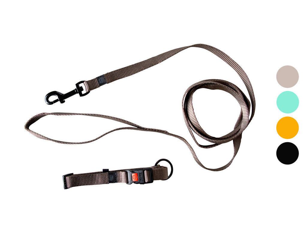 Collier avec laisse