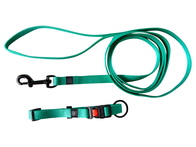 Collier avec laisse