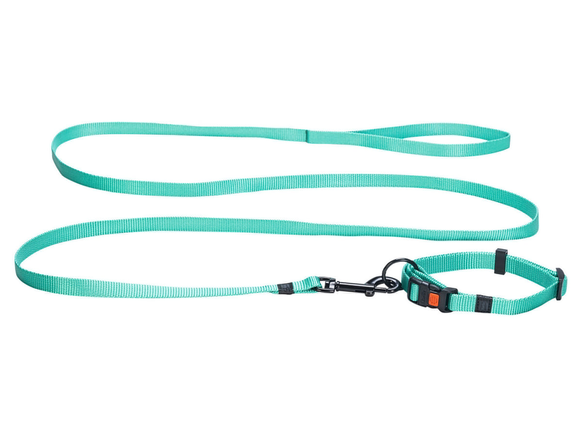 Collier avec laisse