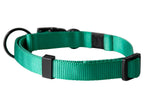 Collier avec laisse