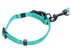 Collier avec laisse