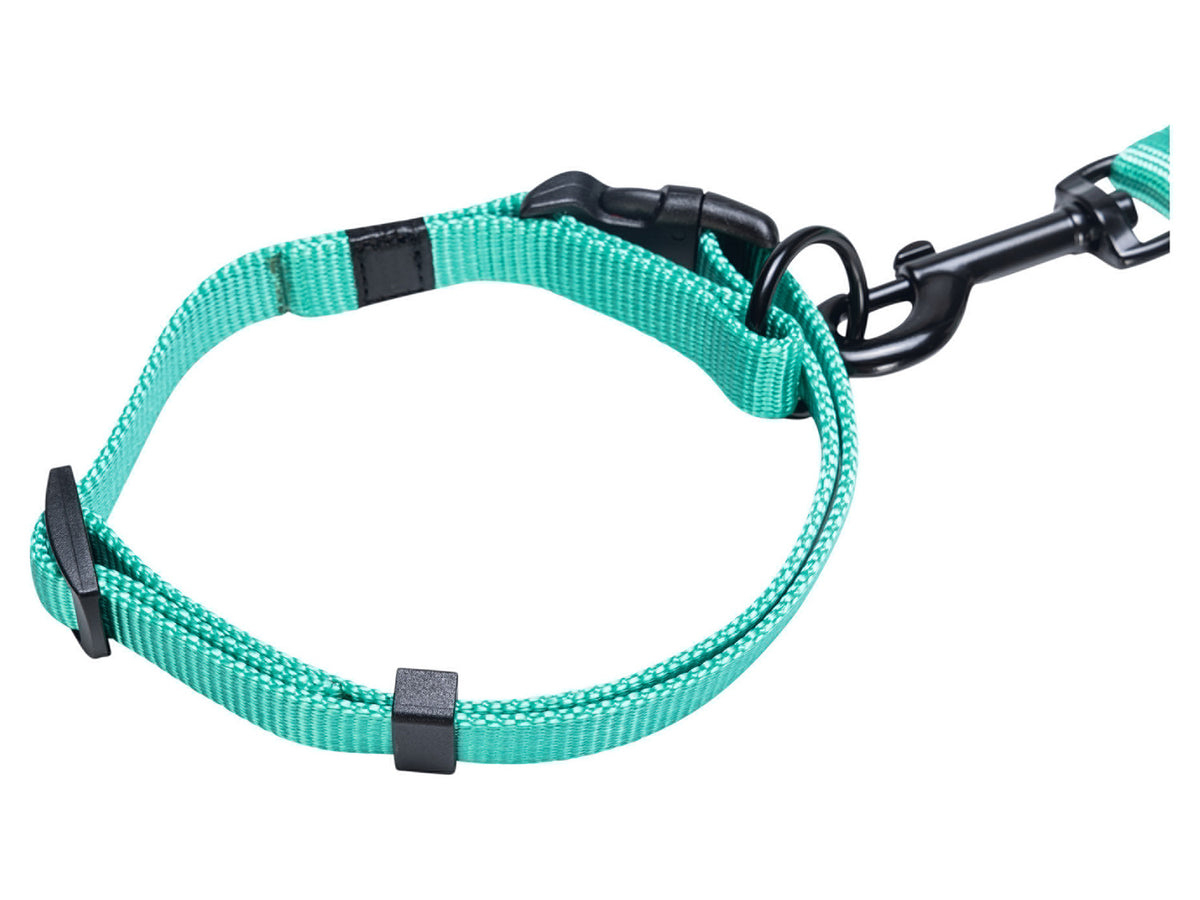 Collier avec laisse