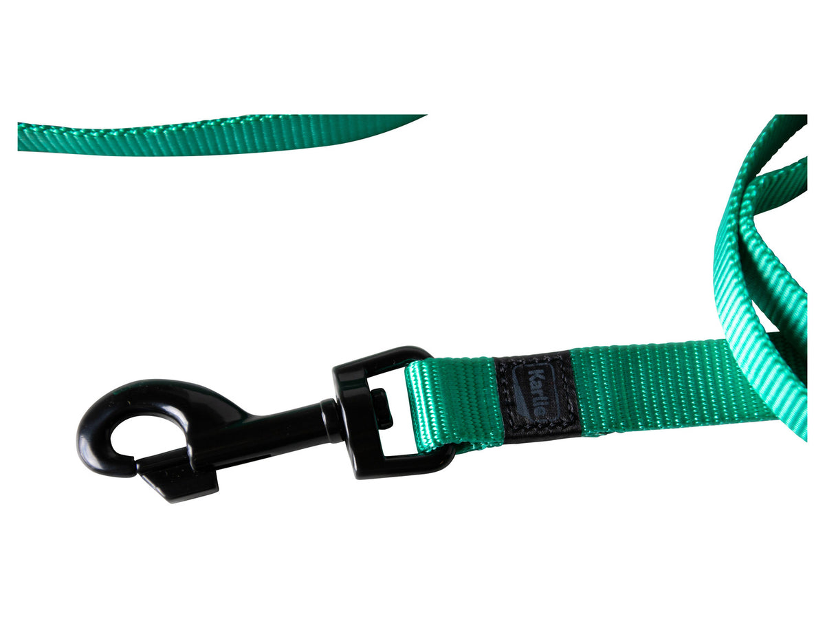 Collier avec laisse
