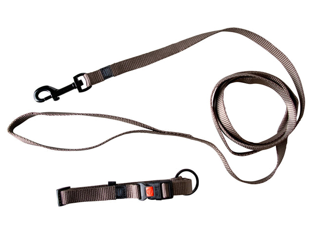 Collier avec laisse