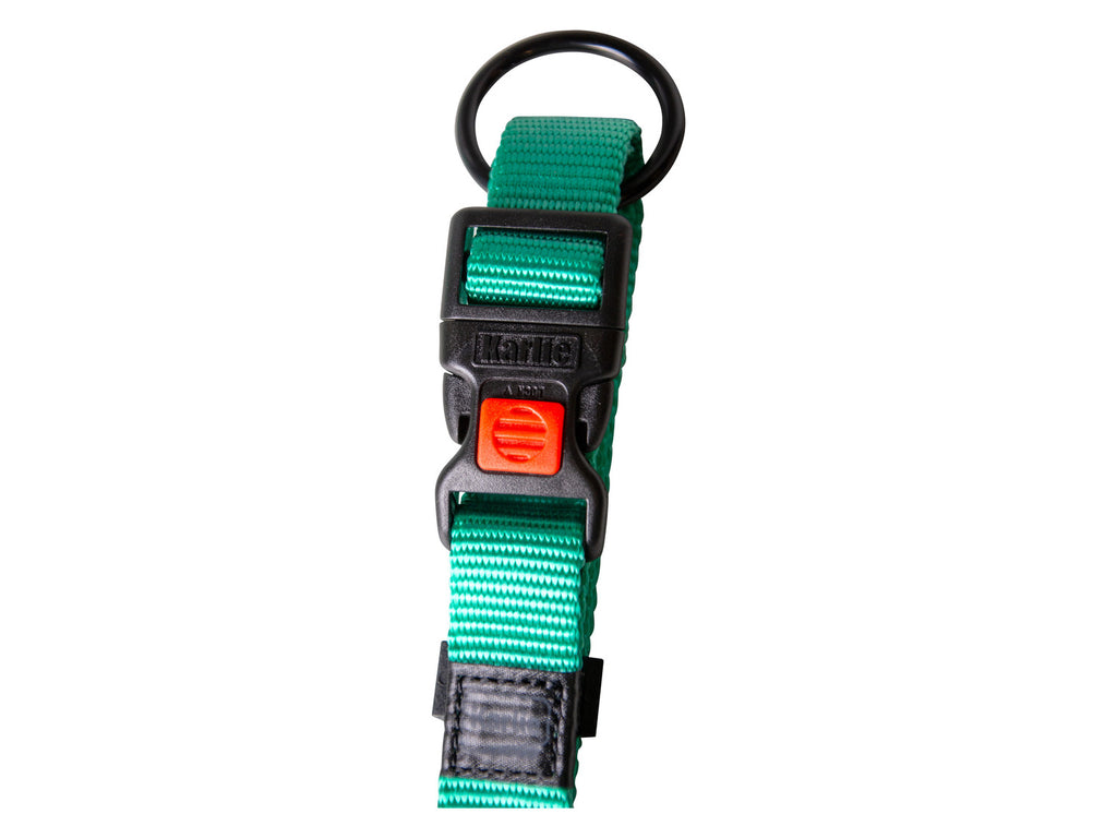 Collier avec laisse