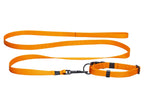 Collier avec laisse