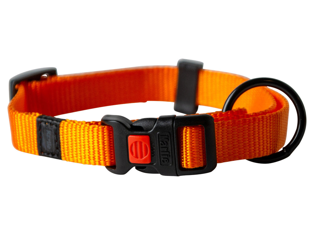 Collier avec laisse