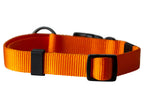 Collier avec laisse