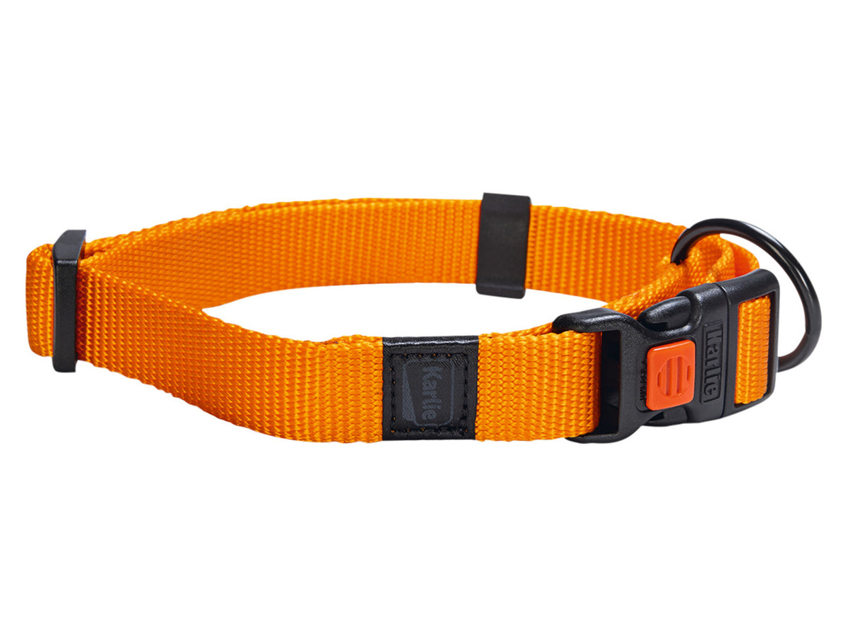 Collier avec laisse