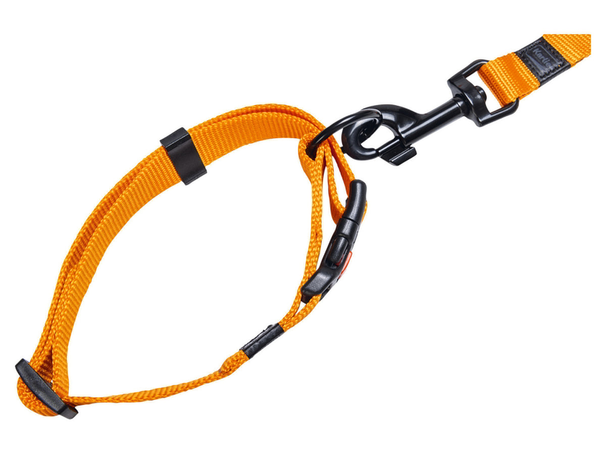 Collier avec laisse