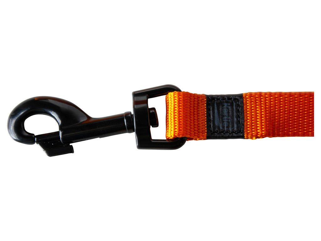 Collier avec laisse