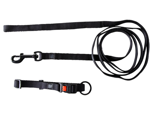 Collier avec laisse