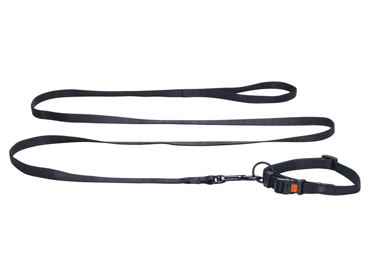 Collier avec laisse