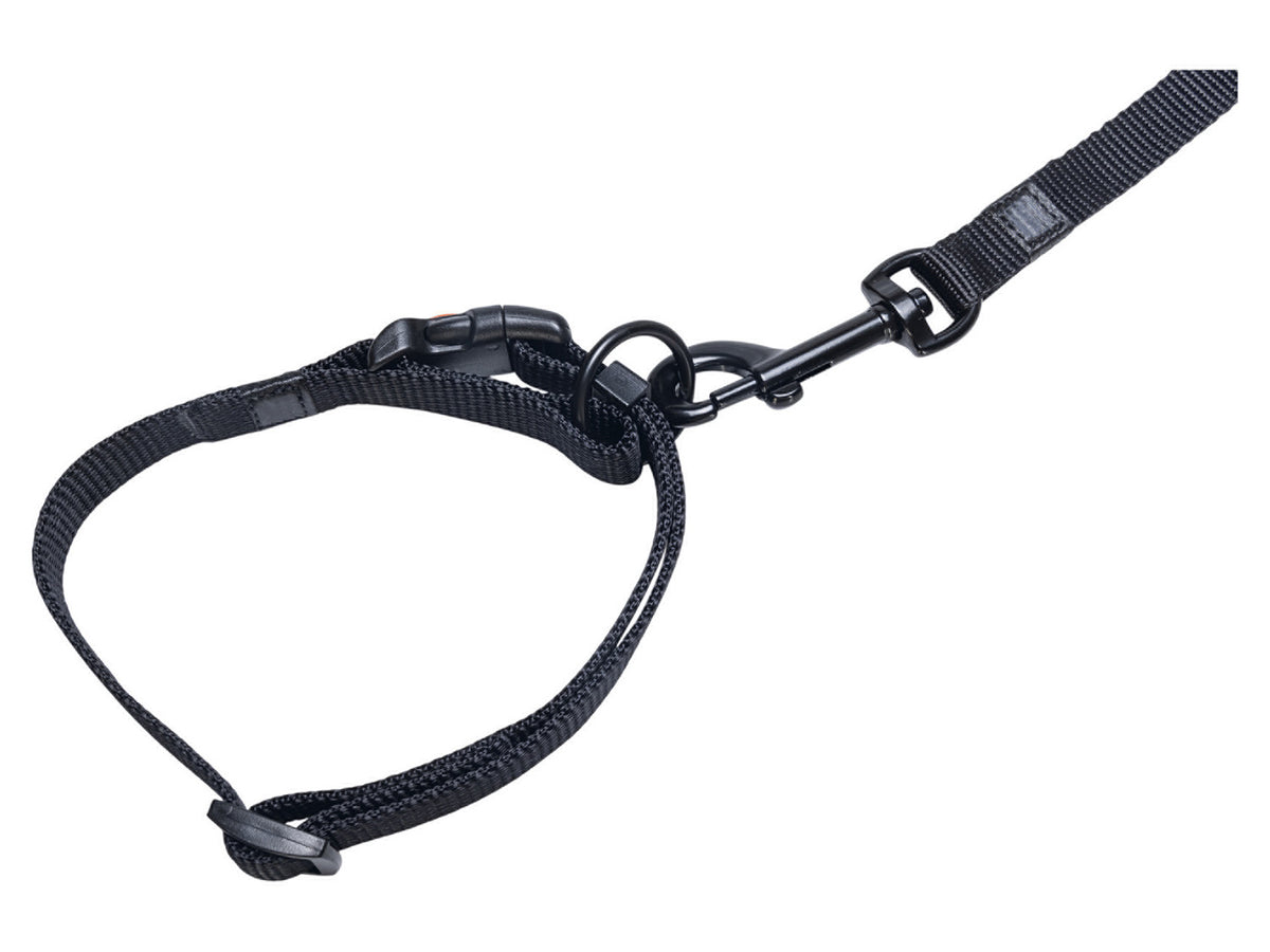 Collier avec laisse
