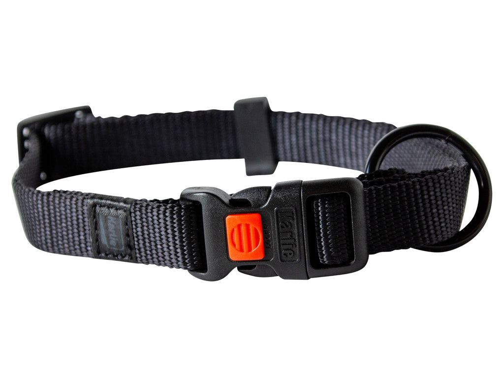 Collier avec laisse