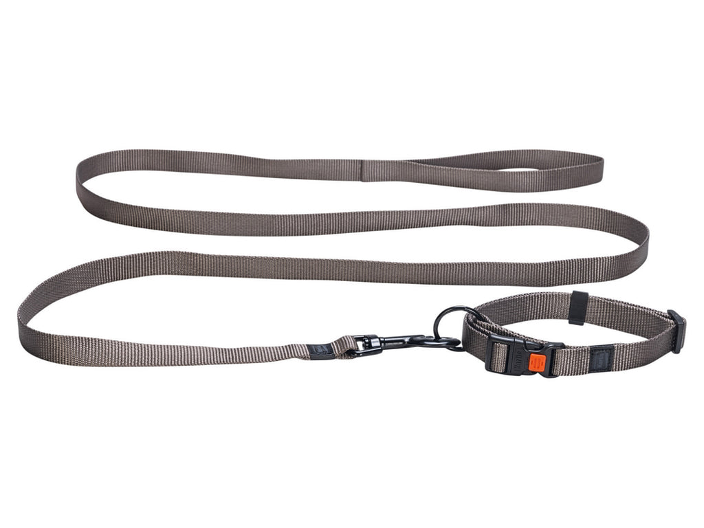 Collier avec laisse