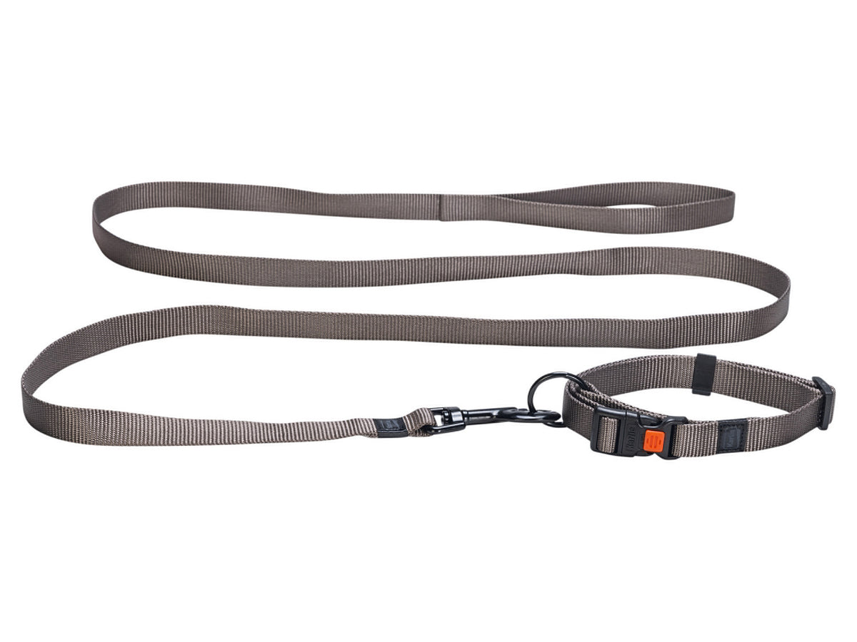 Collier avec laisse