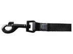 Collier avec laisse