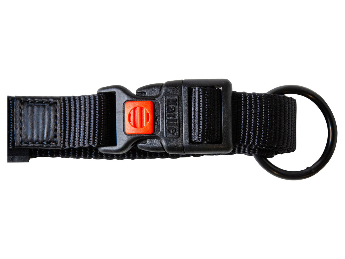 Collier avec laisse