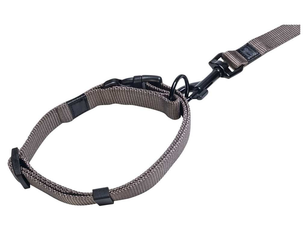 Collier avec laisse