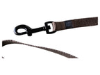 Collier avec laisse