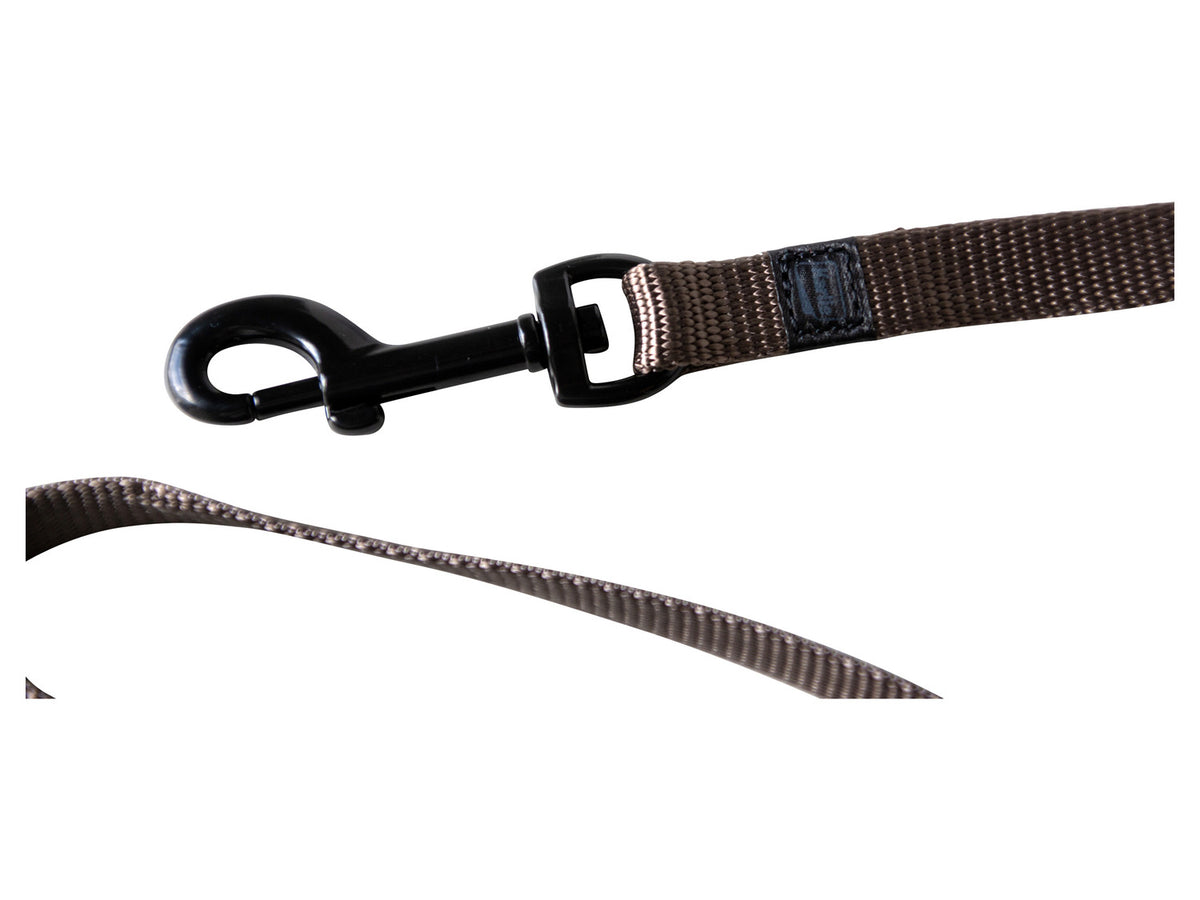Collier avec laisse