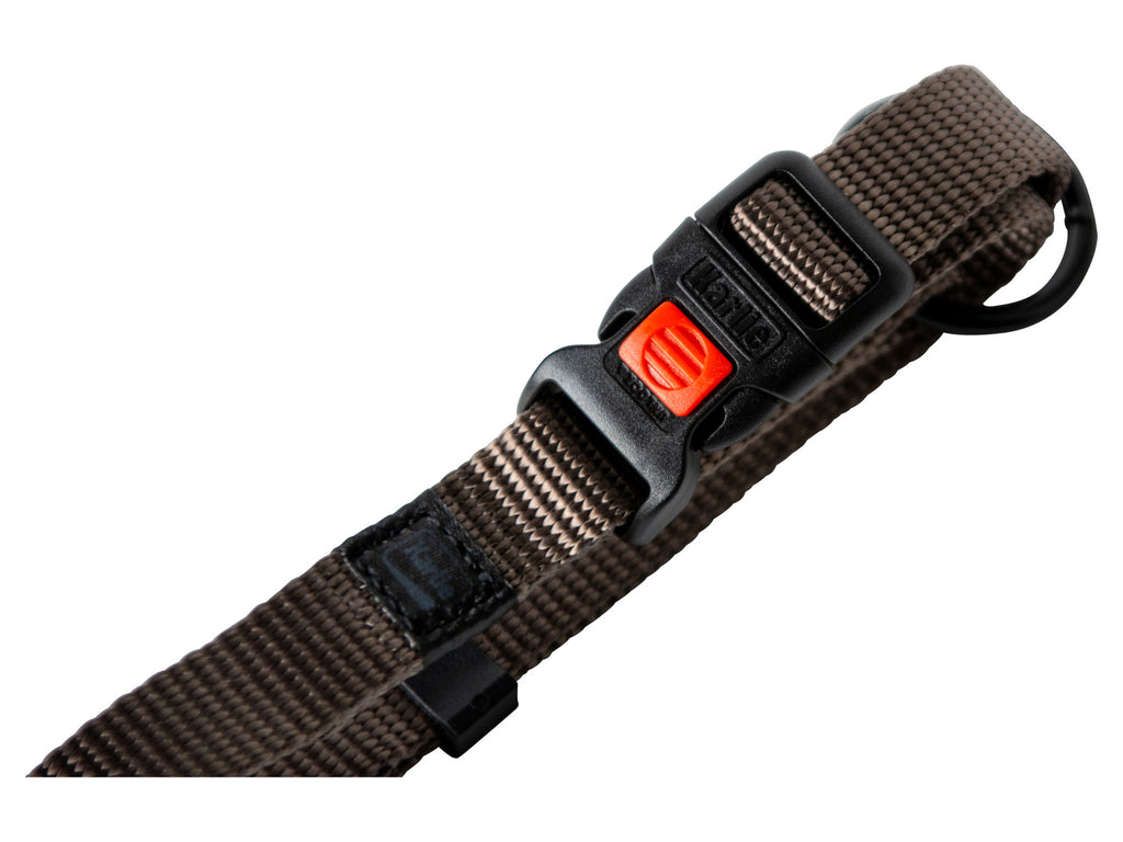 Collier avec laisse