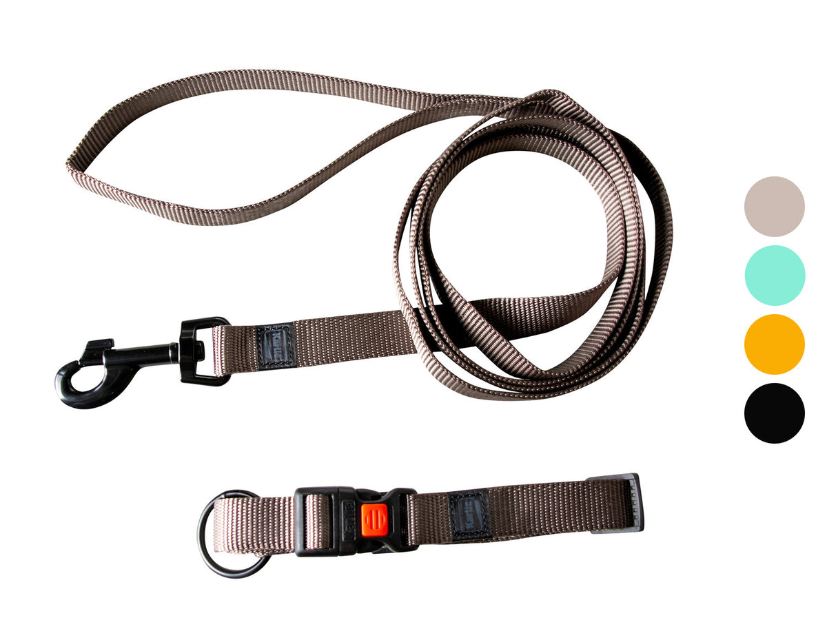 Collier et laisse pour chien