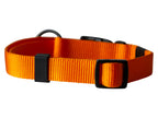 Collier et laisse pour chien
