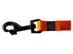 Collier et laisse pour chien