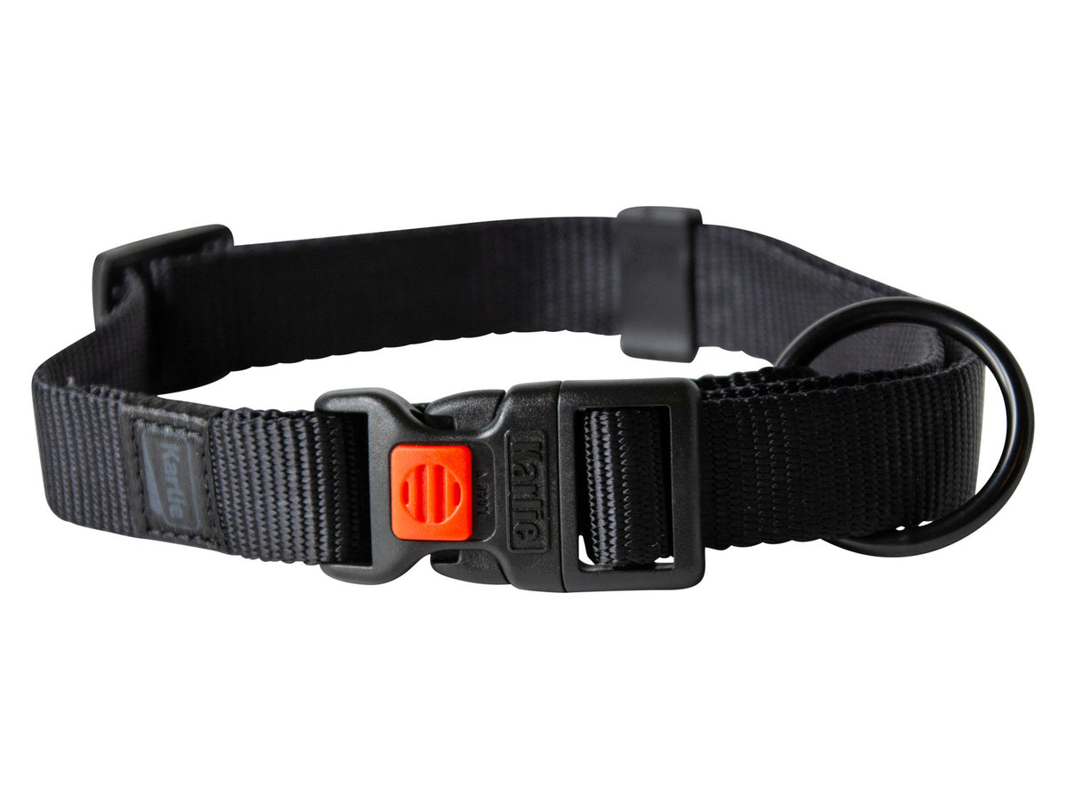 Collier et laisse pour chien