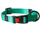 Collier et laisse pour chien