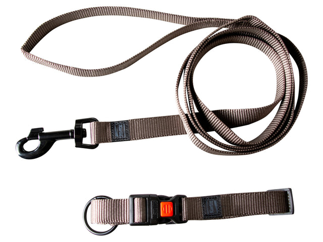 Collier et laisse pour chien