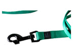 Collier et laisse pour chien
