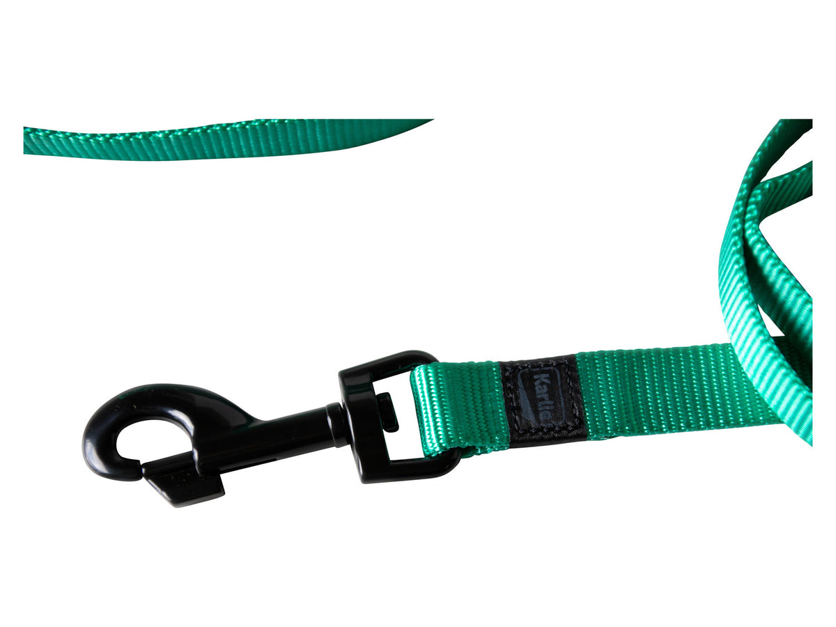 Collier et laisse pour chien