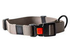Collier et laisse pour chien