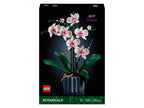 10311 L'orchidée