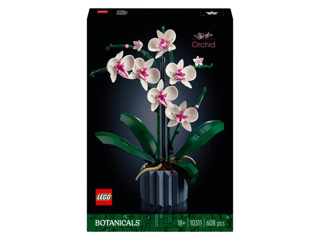 10311 L'orchidée